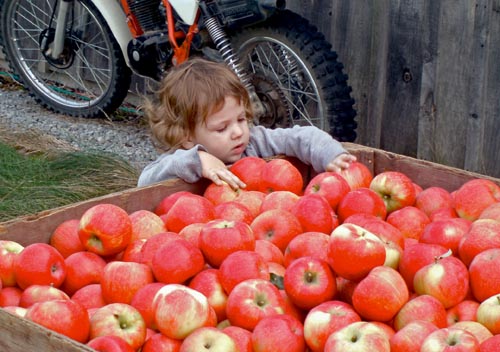 ����� �� �����