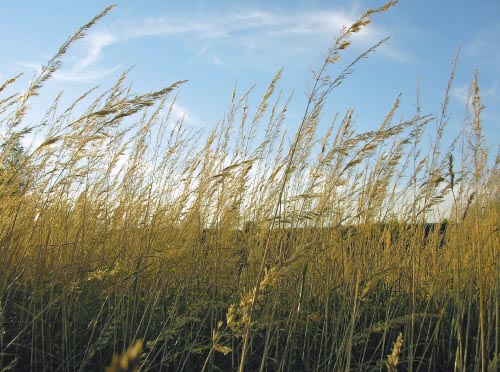 ����������� ����������. ������ 11