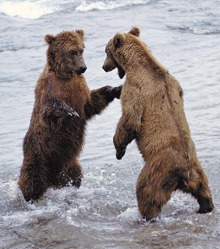 ��� ����?